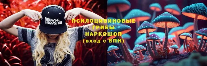 маркетплейс состав  Россошь  Галлюциногенные грибы Magic Shrooms 